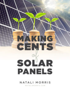 NataliMorris_BlogImage_Pinterest_SolarPanels