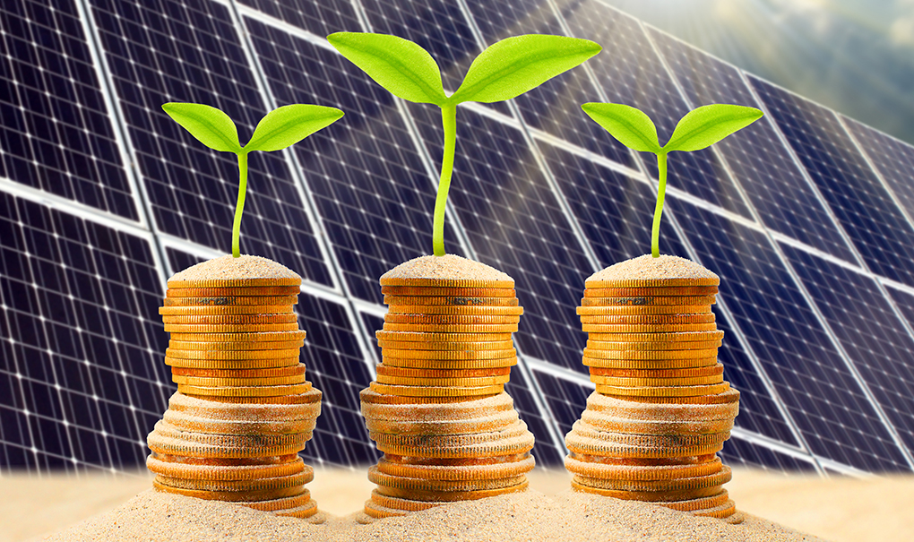 Making Cents of Solar Panels